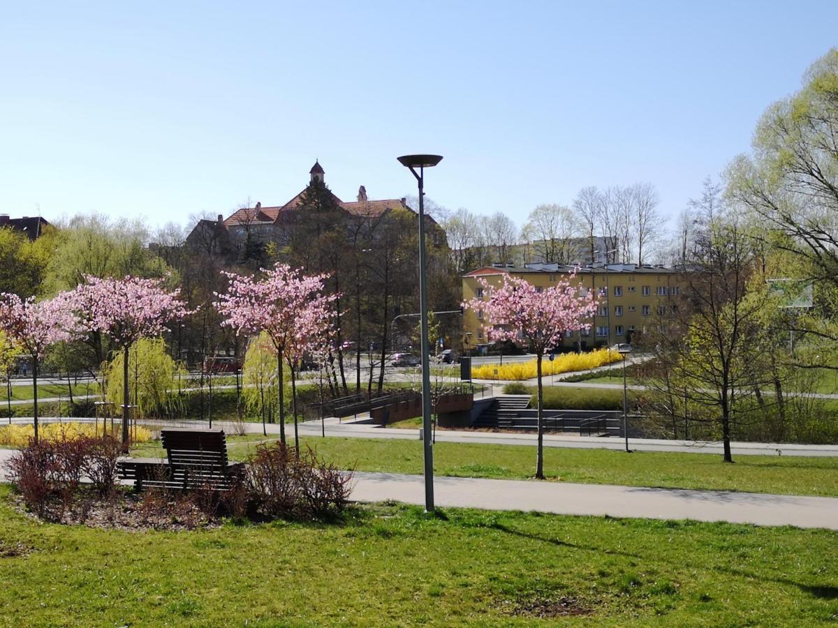 Villa Garden Paryski Olsztyn  Zewnętrze zdjęcie